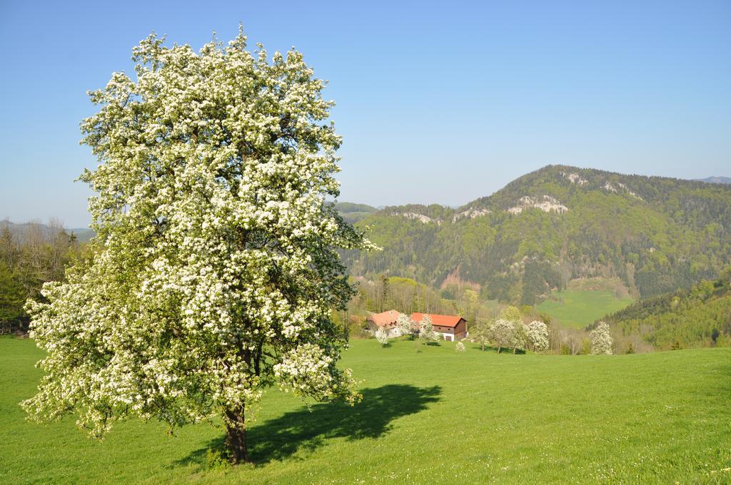 Apart Dirndltal Loich 외부 사진